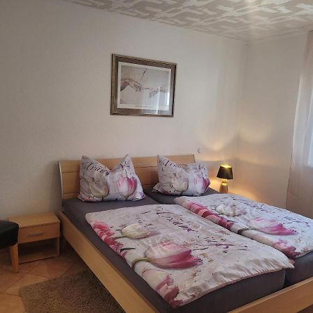 שונאו Ferienwohnung Jasmin In Schoenau Bei Heidelberg Fewo 2 מראה חיצוני תמונה