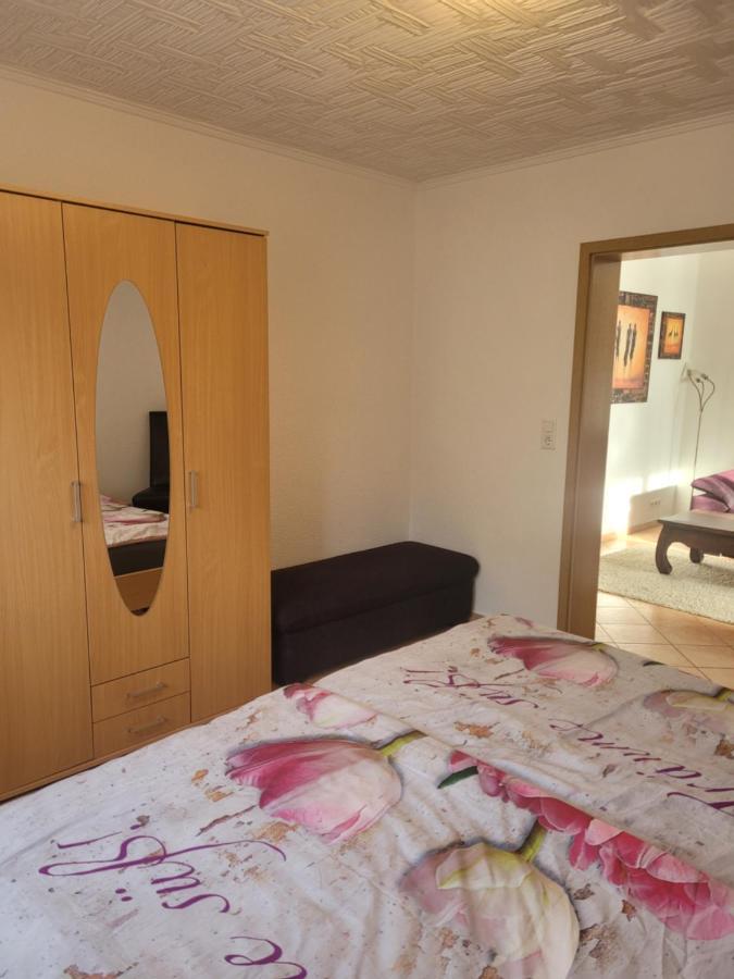 שונאו Ferienwohnung Jasmin In Schoenau Bei Heidelberg Fewo 2 מראה חיצוני תמונה
